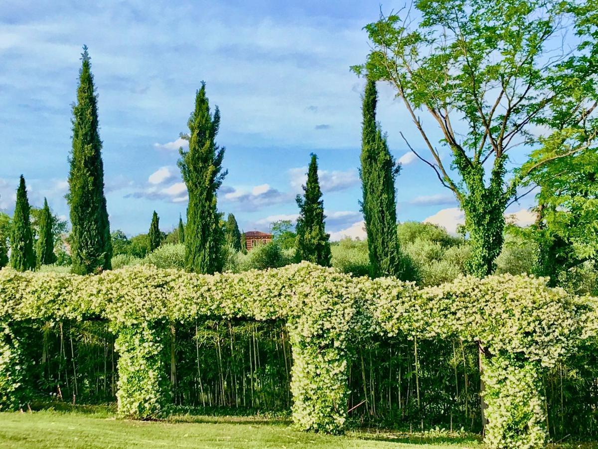 Agriturismo Antica Dimora Del Turco Sona Kültér fotó