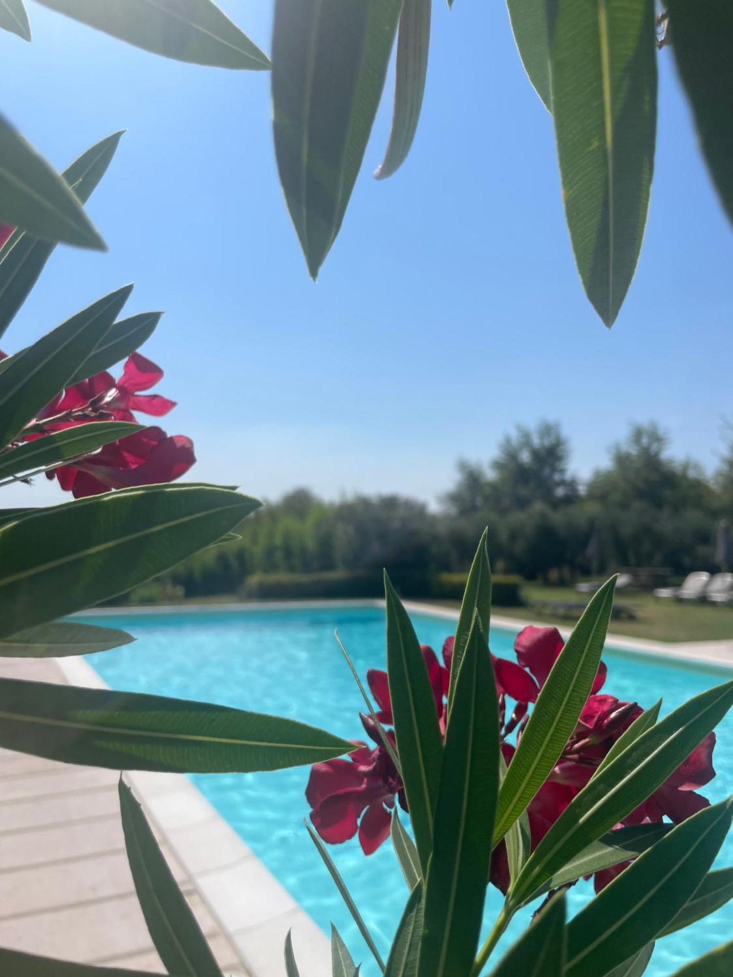 Agriturismo Antica Dimora Del Turco Sona Kültér fotó