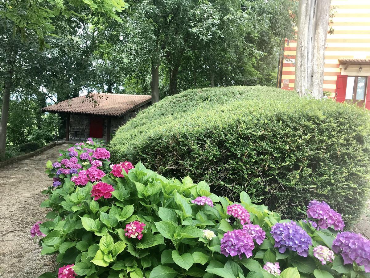 Agriturismo Antica Dimora Del Turco Sona Kültér fotó
